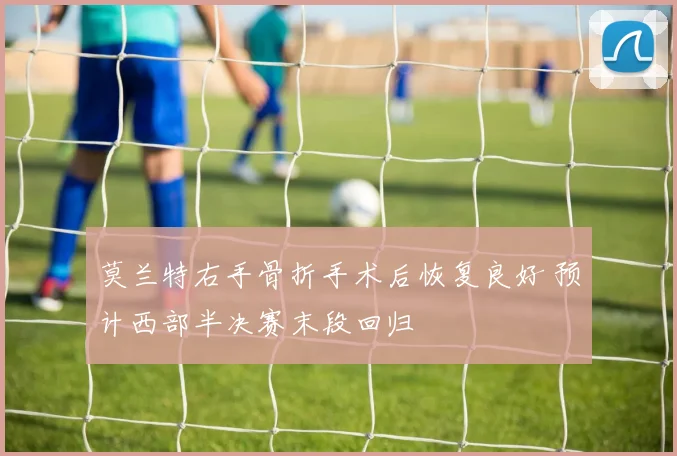 莫兰特右手骨折手术后恢复良好 预计西部半决赛末段回归